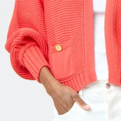 Alaina Cardigan~ Lobster