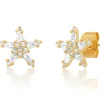 Baquette CZ Star Studs