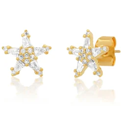 Baquette CZ Star Studs