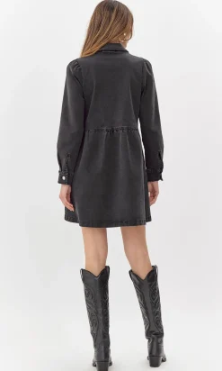Lia Denim Zip Dress