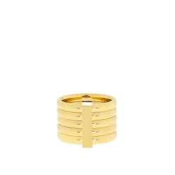 Stainless Set of 5 Linked Rings