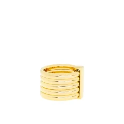 Stainless Set of 5 Linked Rings
